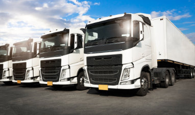 LKW Ankauf Emmerich am Rhein
